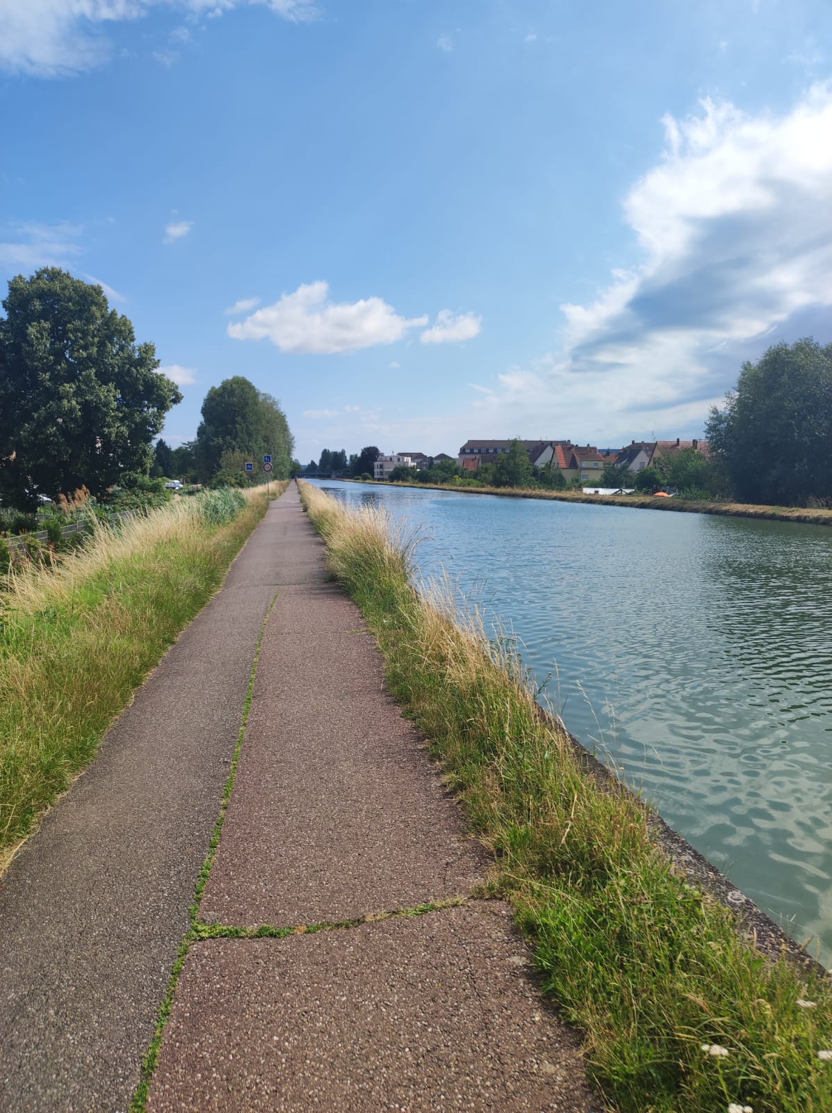 véloroute au bord du canal Strasbourg