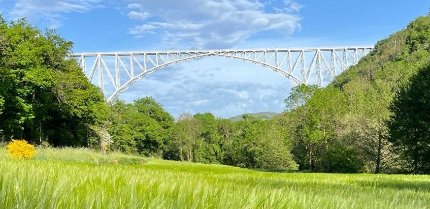 viaduc du Viaur1 