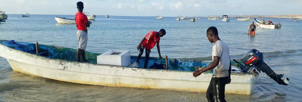 Solidarité Franco Somalienne