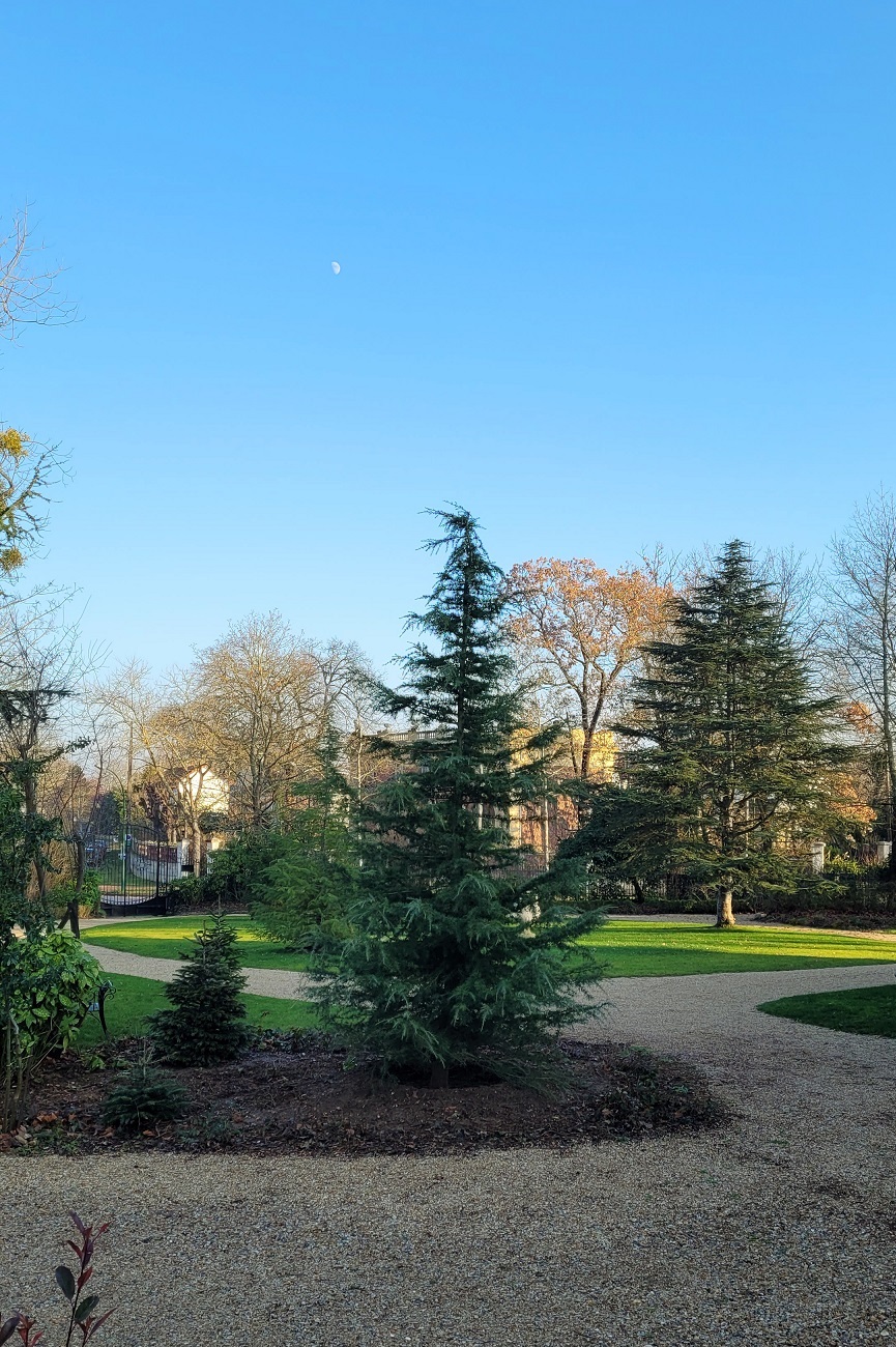 La vue depuis le pavillon (en hiver)