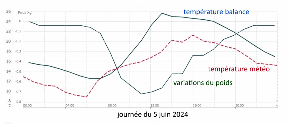 2024-06-05 poids - température