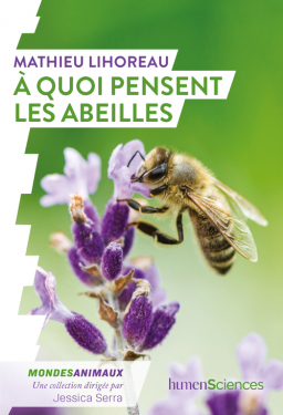 à quoi pensent les abeilles