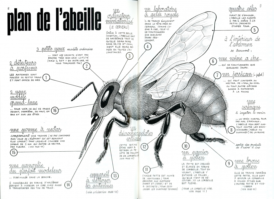 abeille