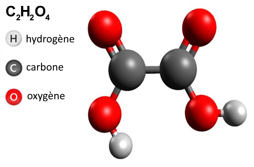 acide oxalique