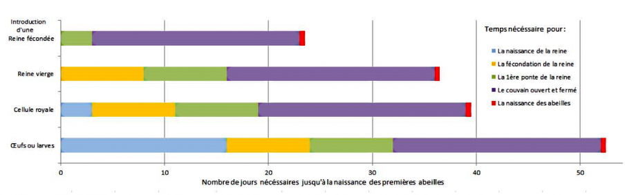 creer_de_nouvelles_colonies_dans_son_rucher_Page_3