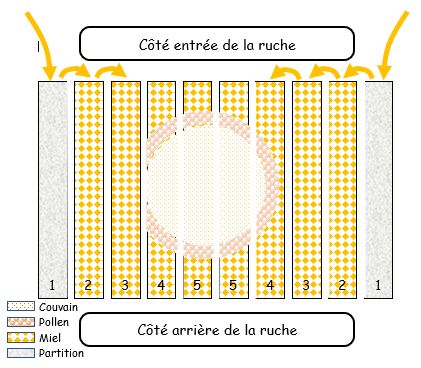 Le renouvellement étape 7 