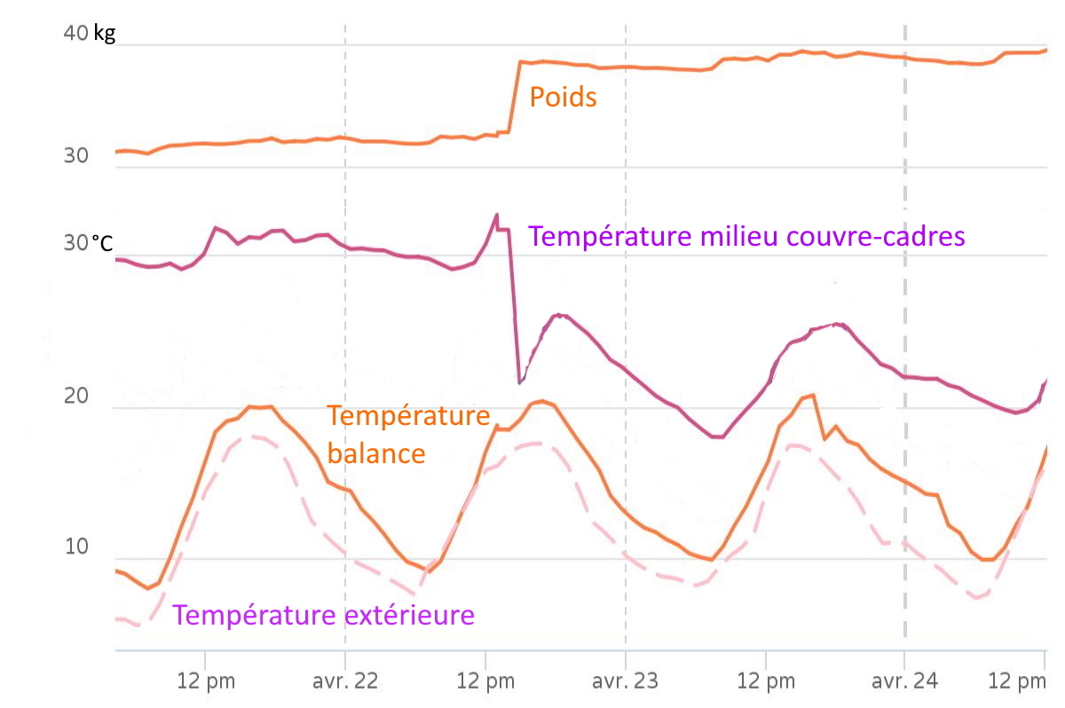Pose 1ère hausse Poids_température