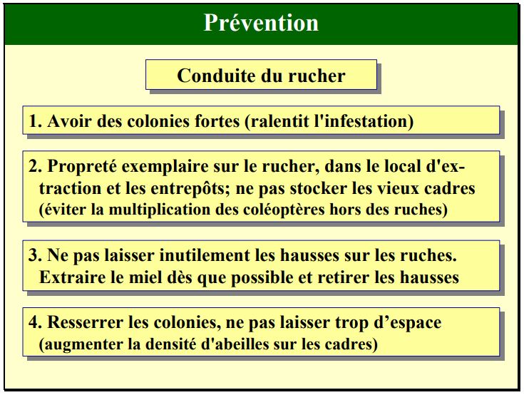 prévention