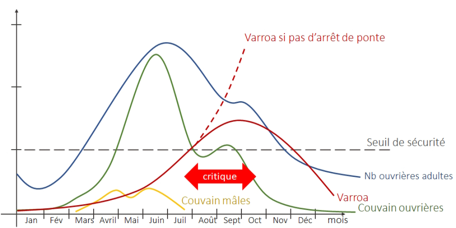 zone critique selon APISAVOIR