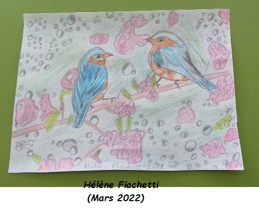 Dessin (Crayon papier-couleur) (Mars 2022)
