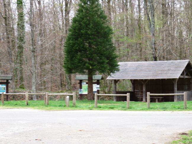 Carrefour en forêt de la croix Samson