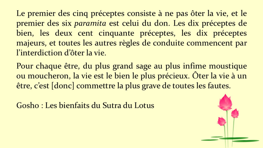 Gosho du jour