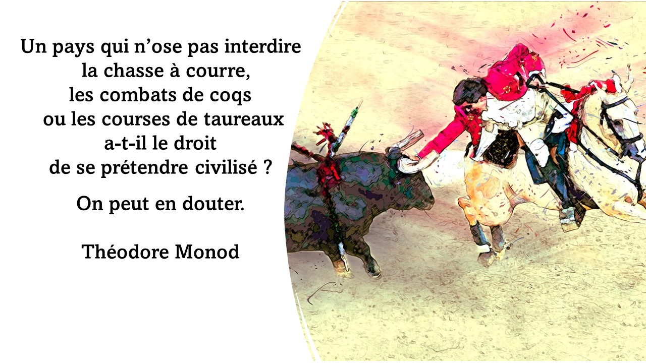 Monod civilisé