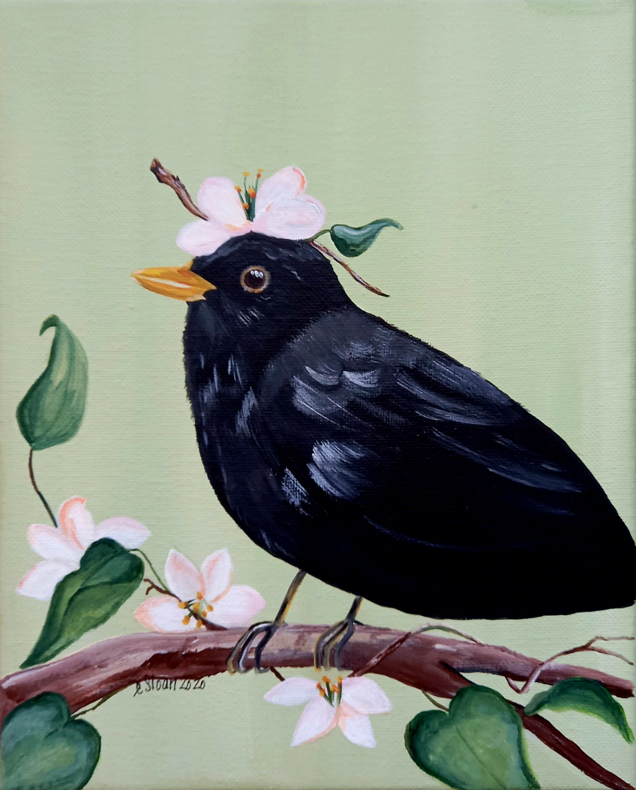 Blackbird E