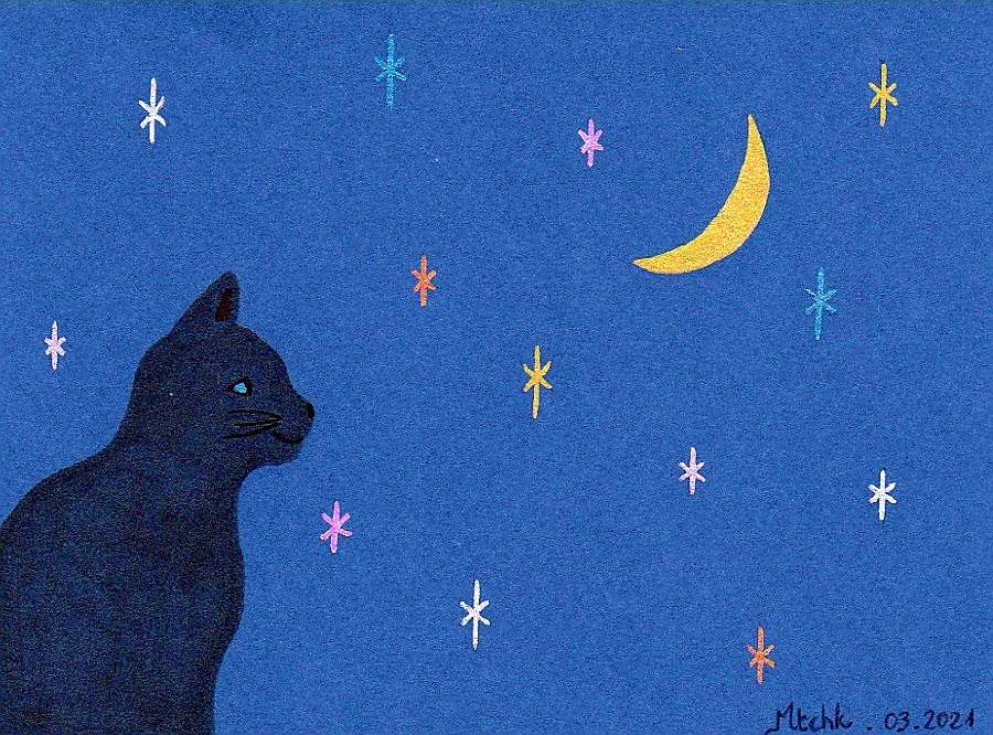 Chat observant la nuit - 03
