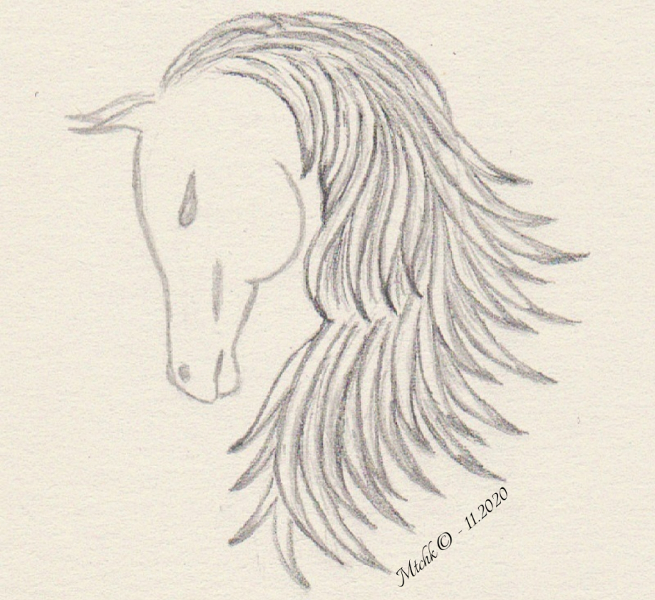 Tête de cheval (signé)