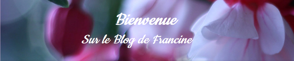 blog-francine-com