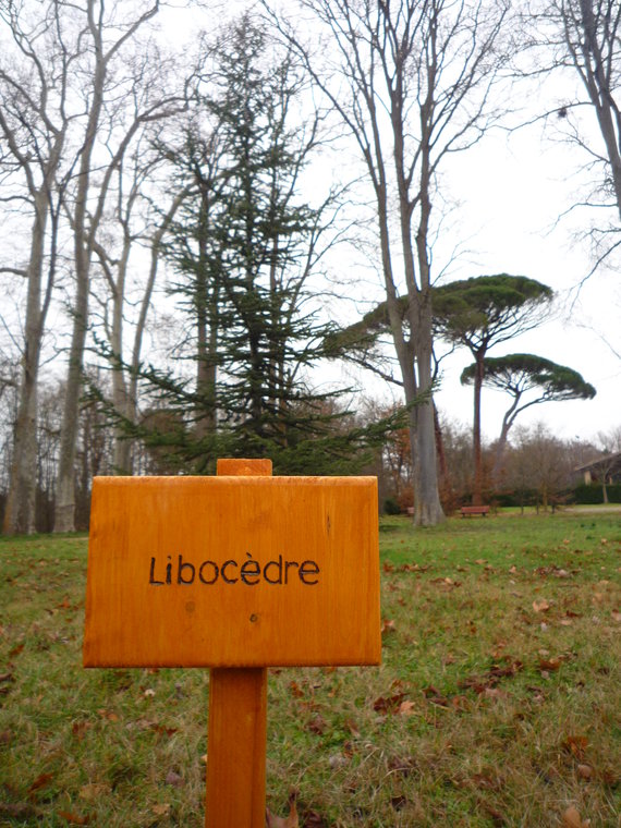 panneau arboretum