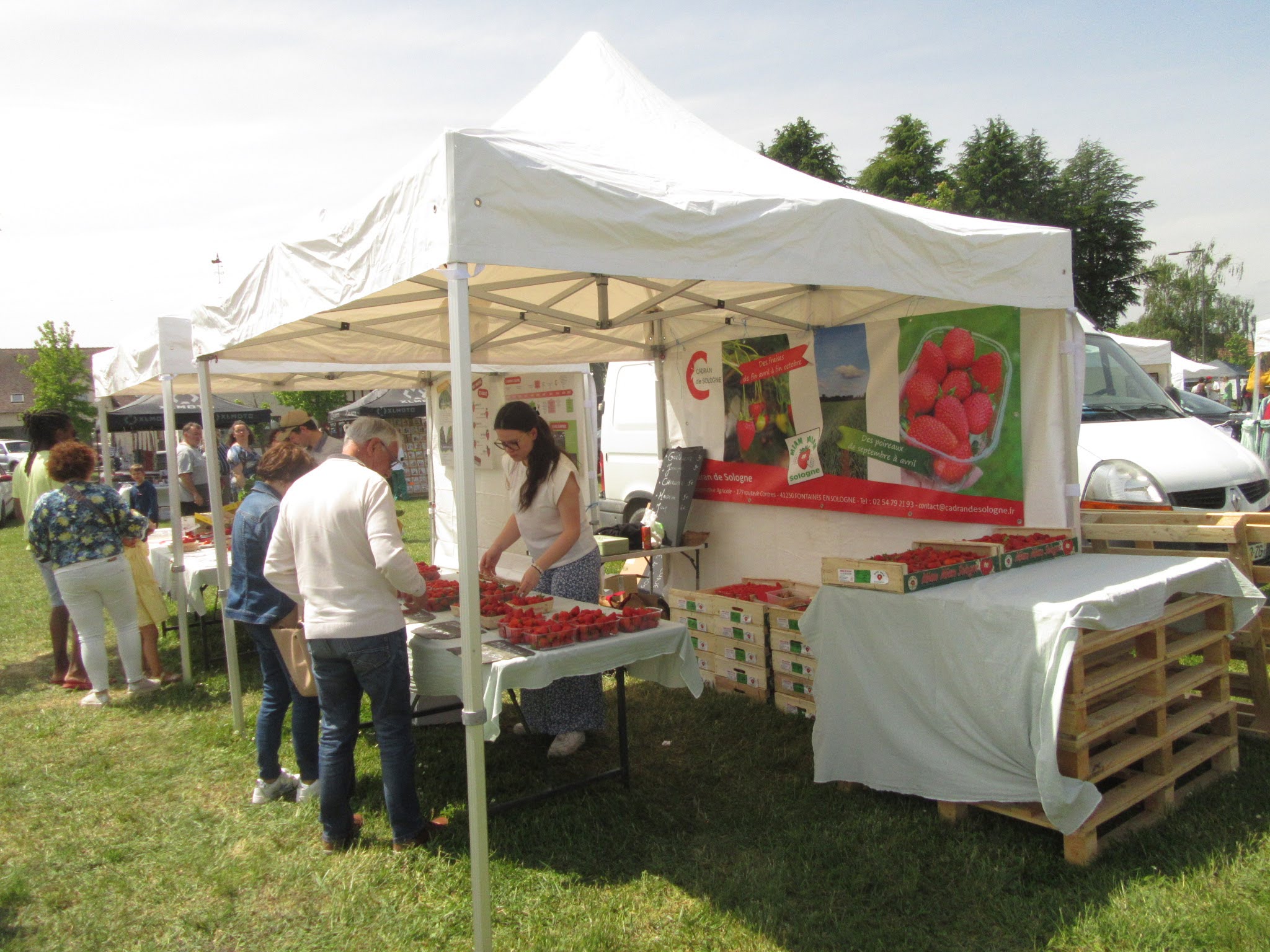 Comité des Fêtes de Cour-Cheverny, Fête de la Fraise