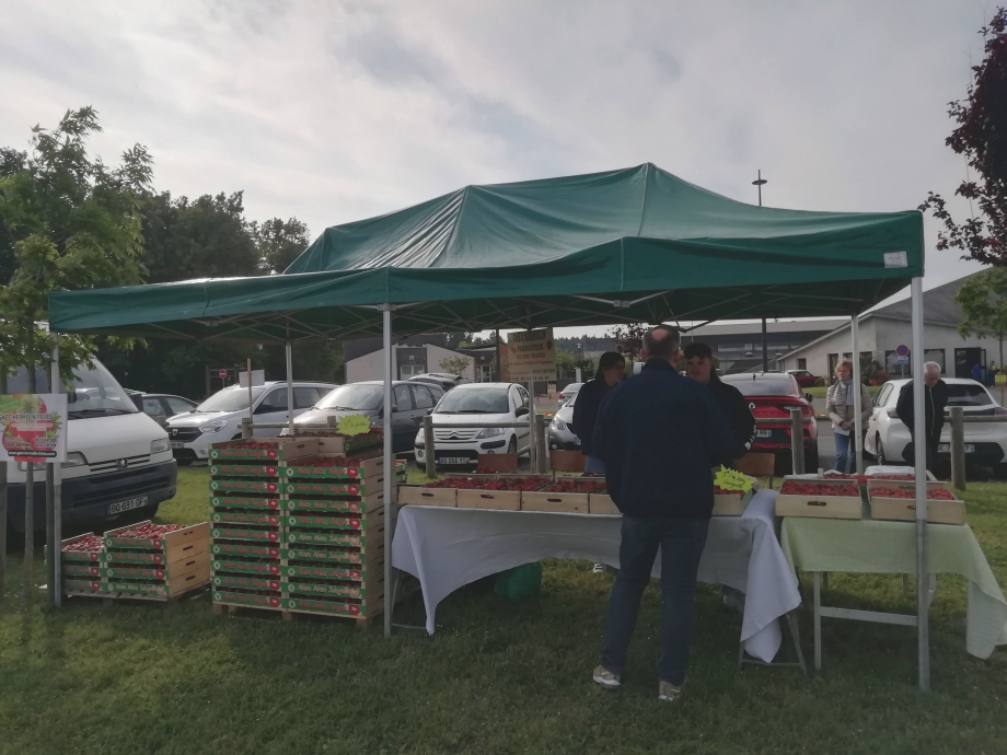 Comité des Fêtes de Cour-Cheverny, Fête de la Fraise