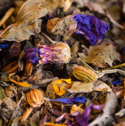 tisane de la famille