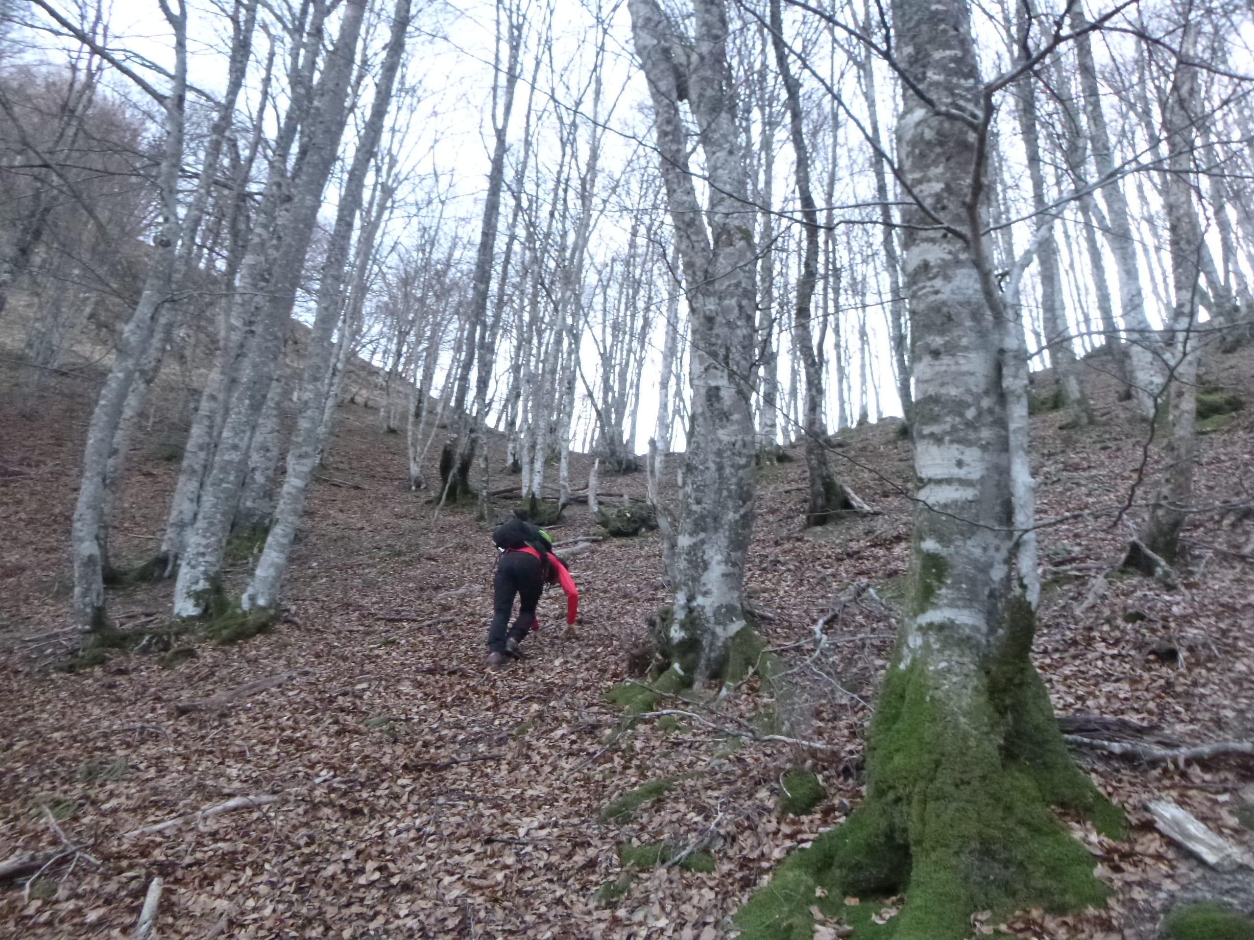 Artillac Cabanedrete Montcalp Tése Begouéde Mensongére 001