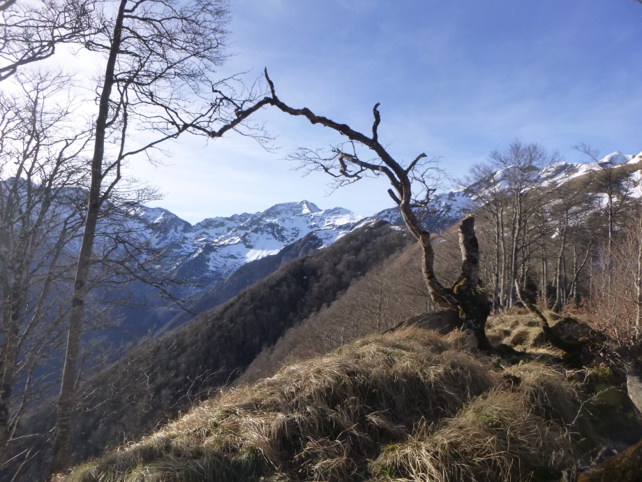 Artillac Cabanedrete Montcalp Tése Begouéde Mensongére 016