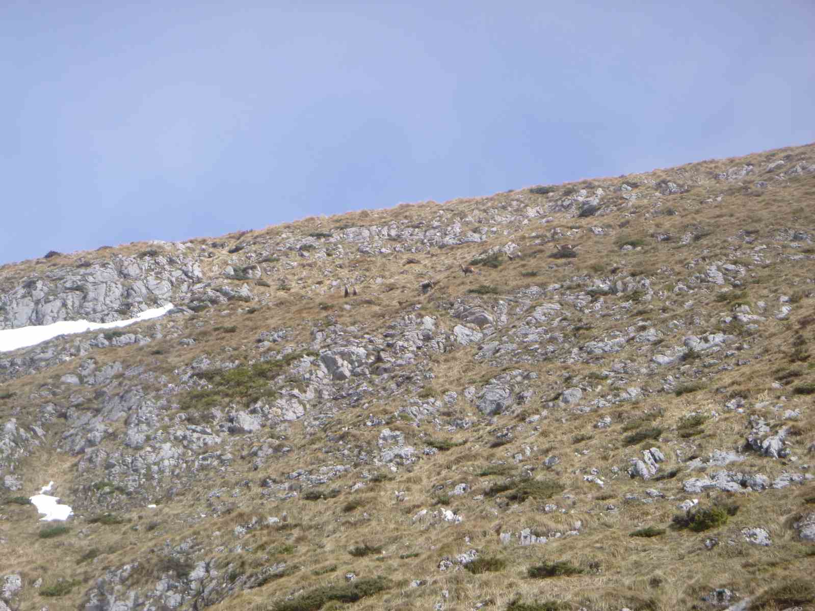 Mont Ceint et alentours 022
