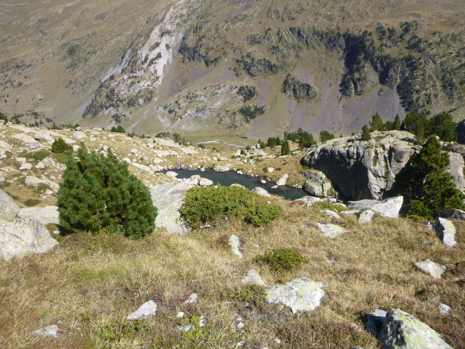 P1330980