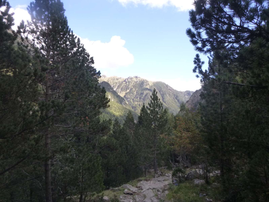 P1340349