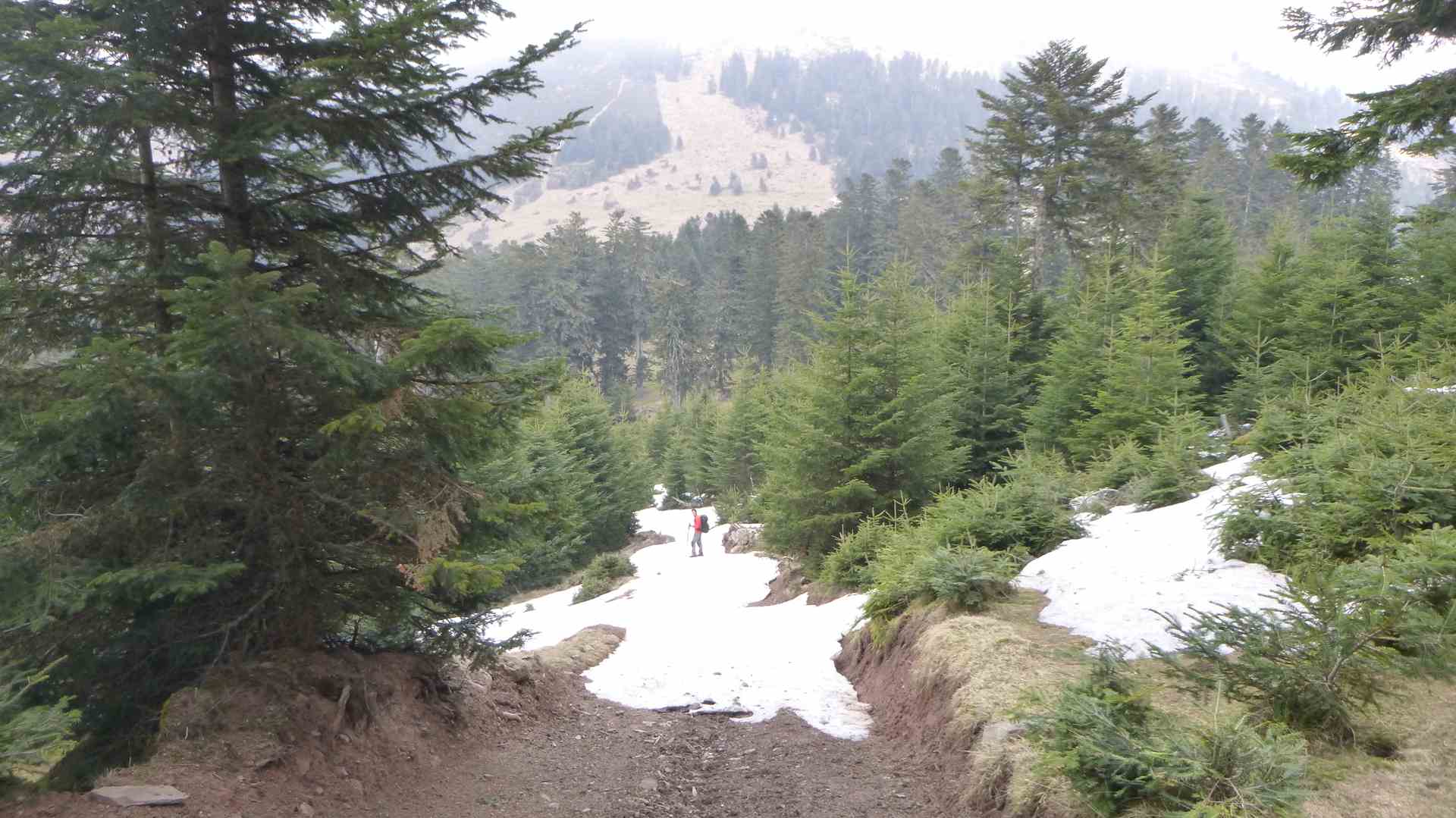 Péne Lise Bédout Téoulére Bassia Tignous 069