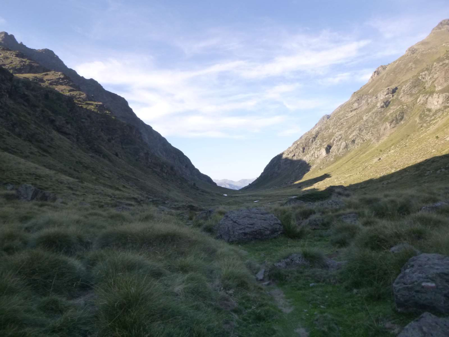 Sanfonts Baiau Entravessada 101