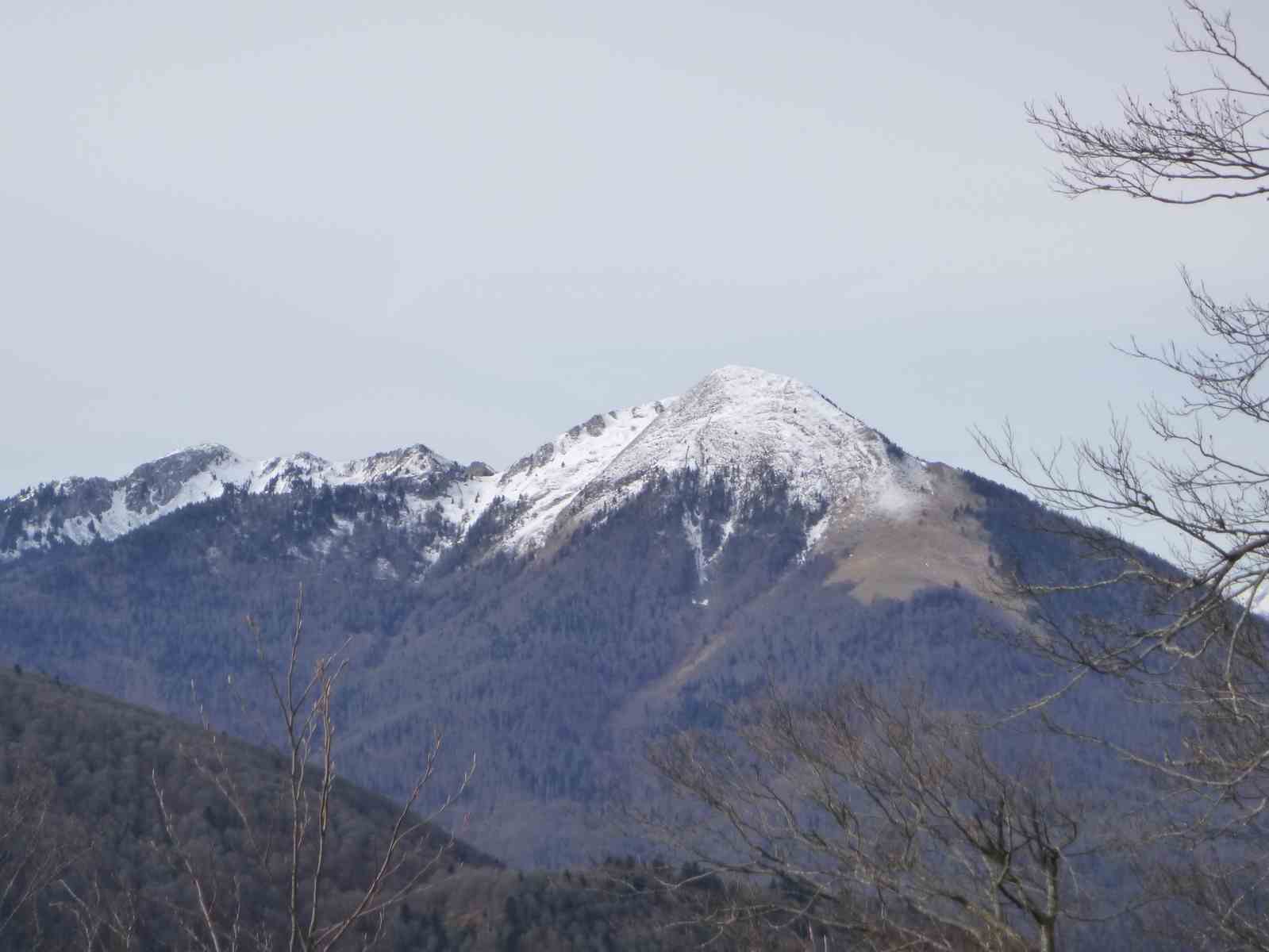 Sauére Cornudére 014