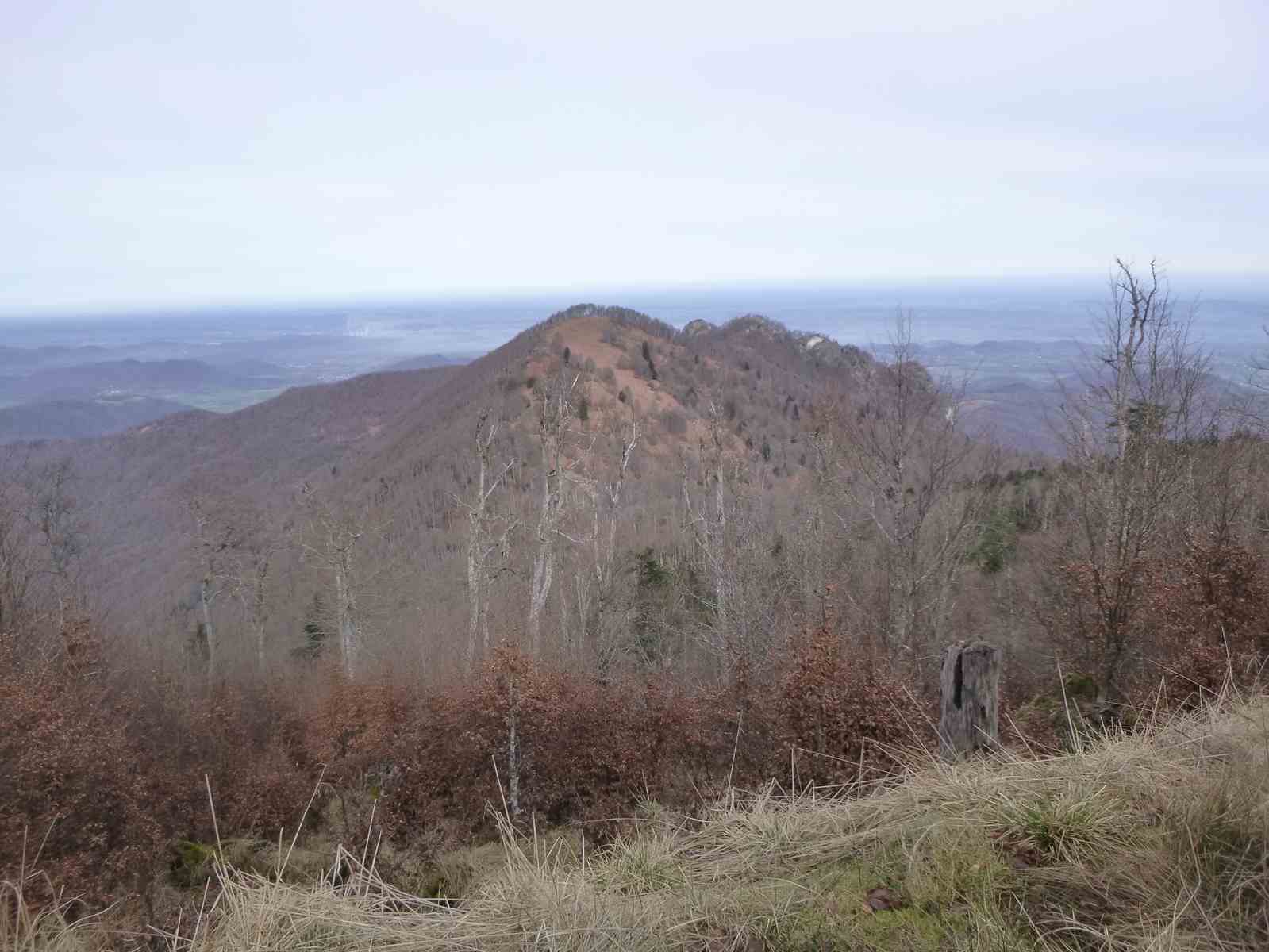 Sauére Cornudére 017