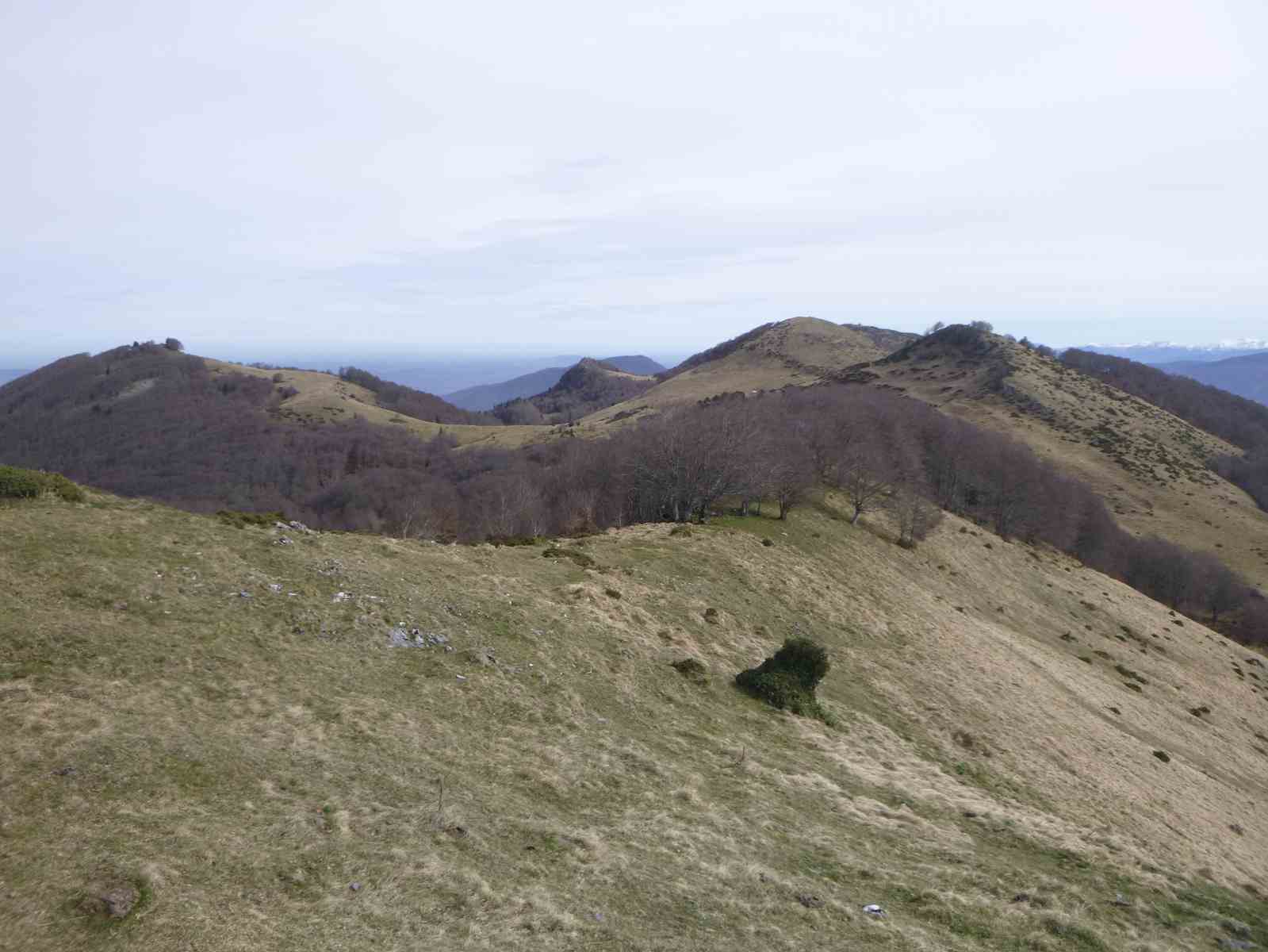 Sauére Cornudére 046