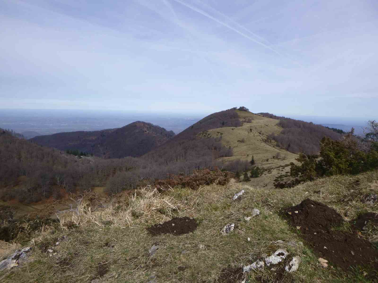 Sauére Cornudére 053