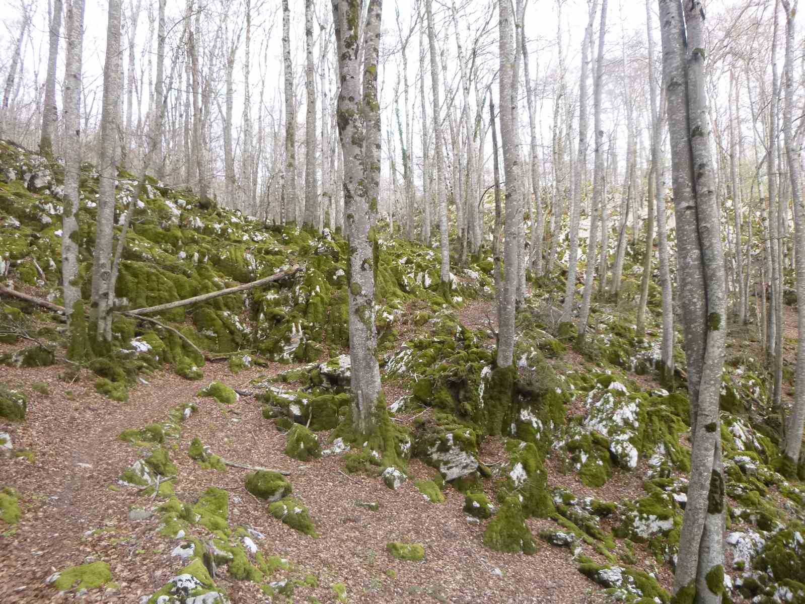 Tour de la vallée de Balaguére 005