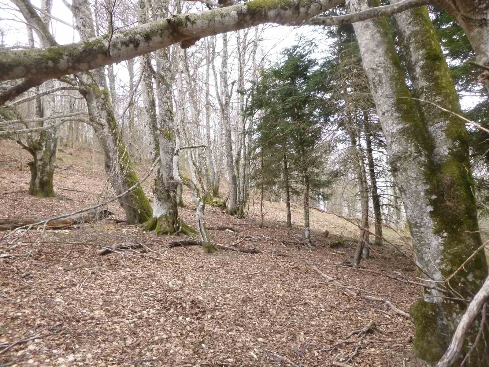 Tour de la vallée de Balaguére 024