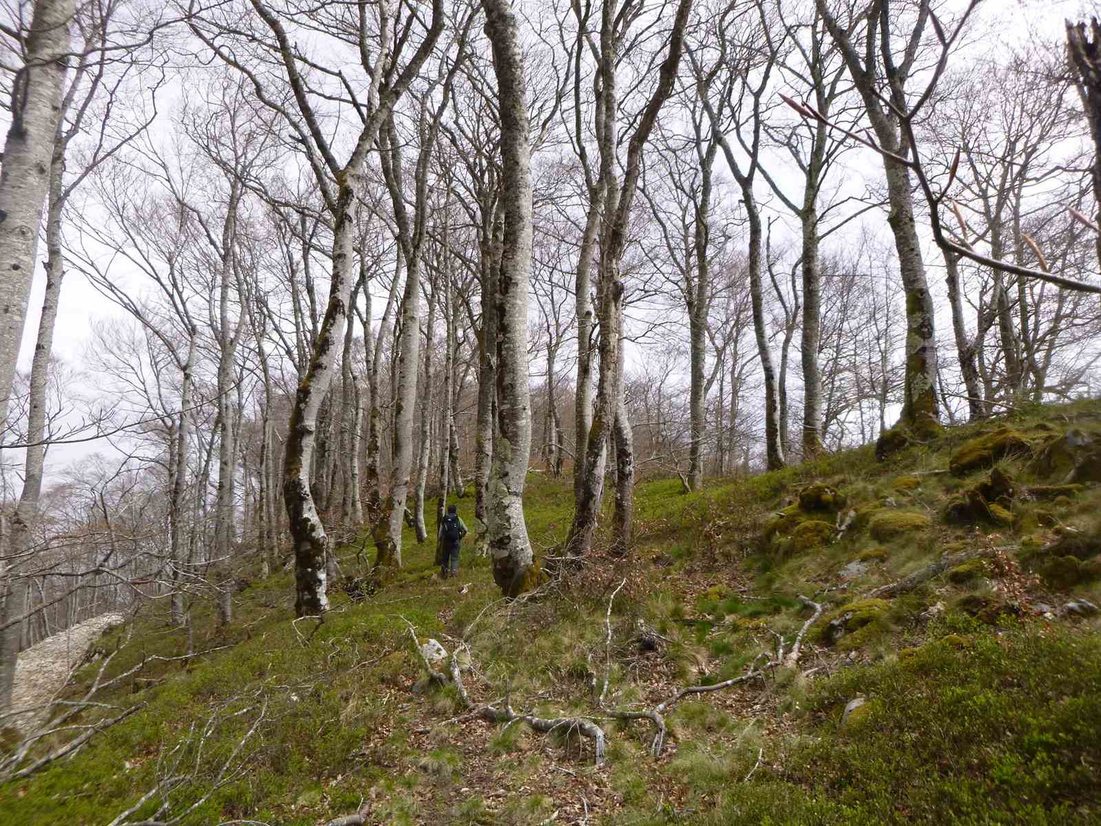 Tour de la vallée de Balaguére 032