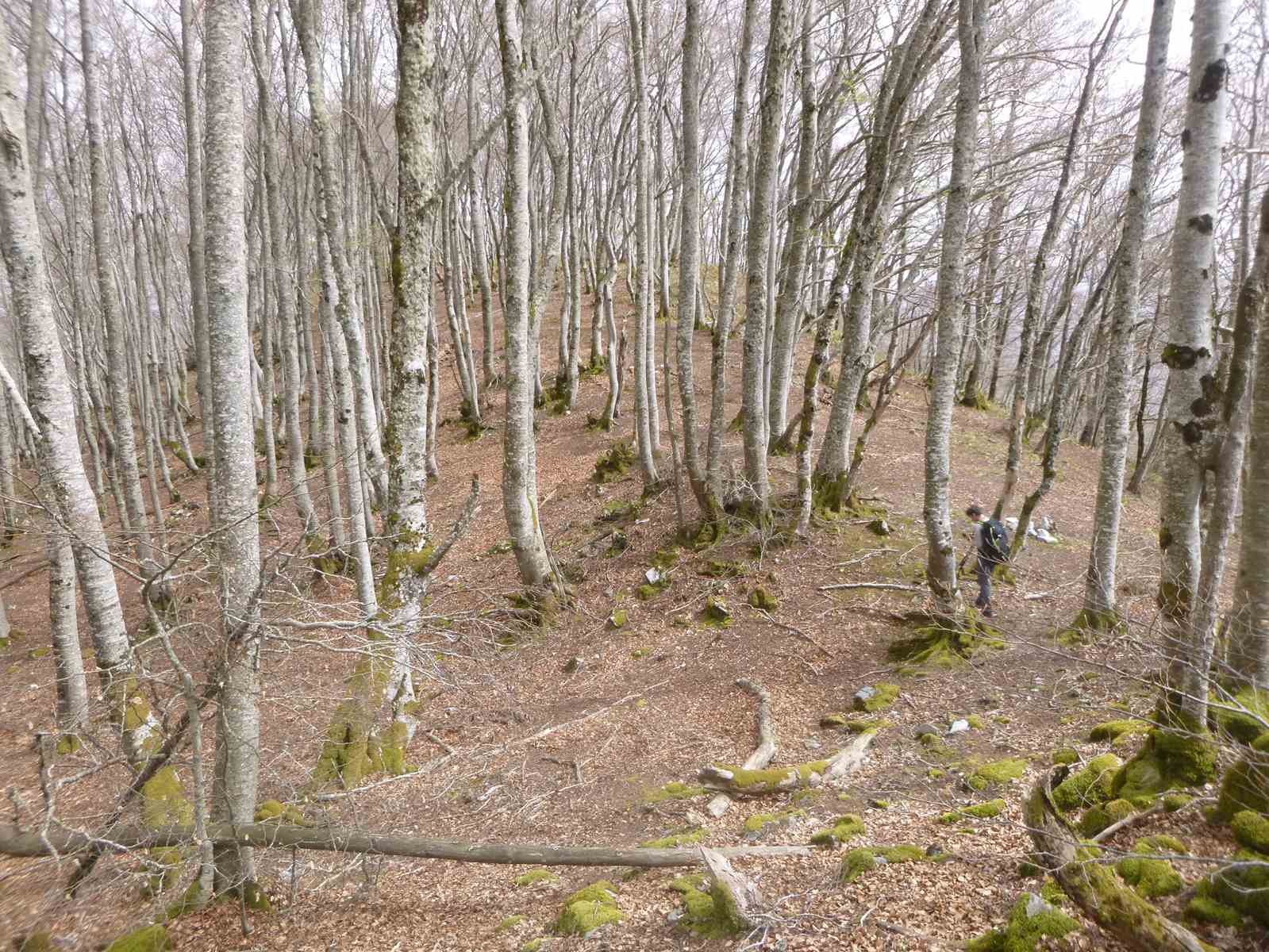 Tour de la vallée de Balaguére 034