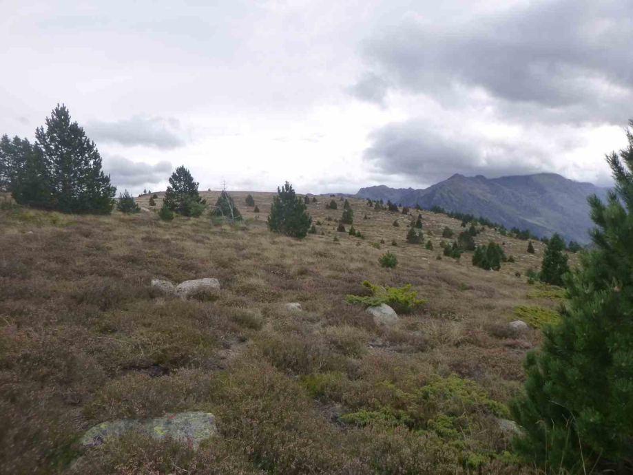 Tour de la vallée de Saleix 059