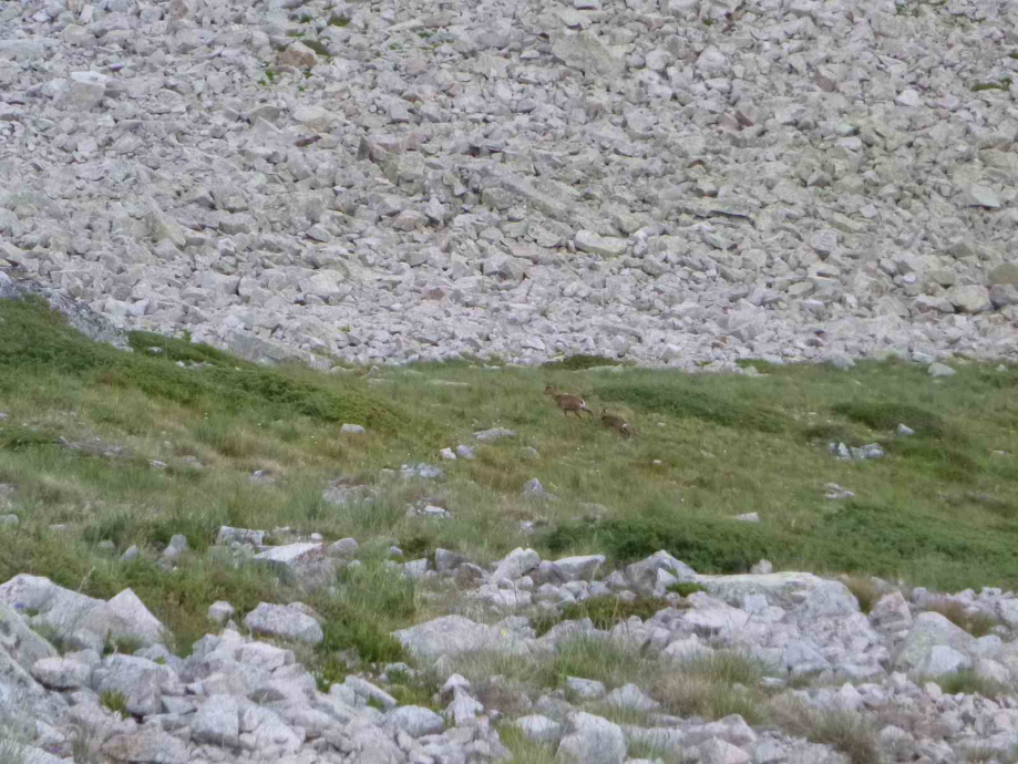 Tour vallée Dets Coubous 012