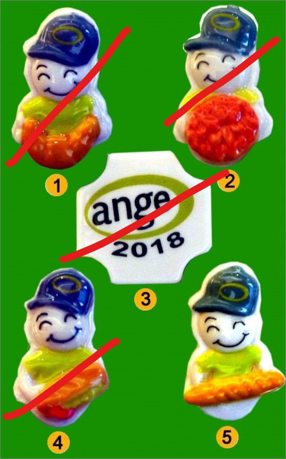 ANGE 2018