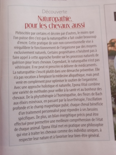 Article cheval santé