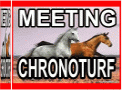 MEETING CHRONO TURF
