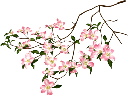 branche fleurie rose 4