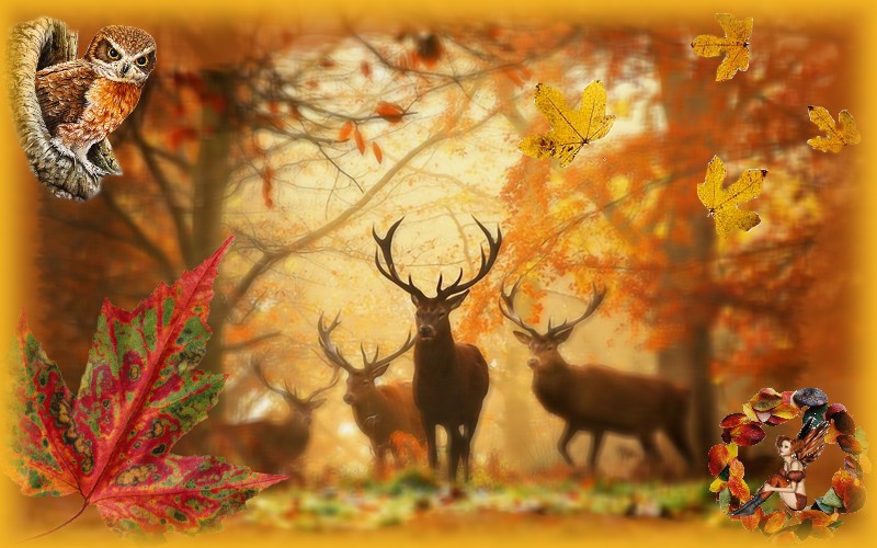 cerfs en automne