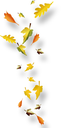 feuilles d\\\'automne 6