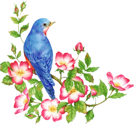 oiseau dans les fleurs
