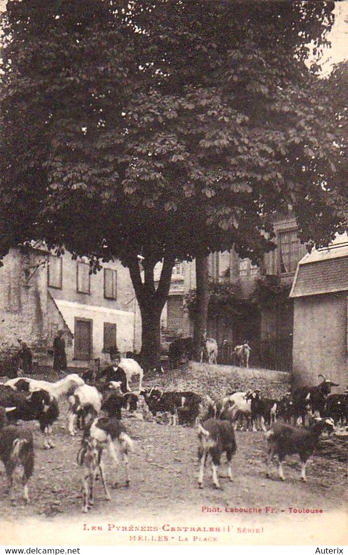 chèvres place mairie